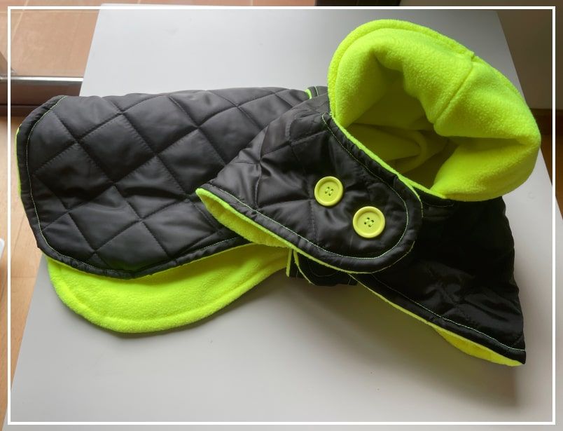 Abrigo para Whippet acolchado
