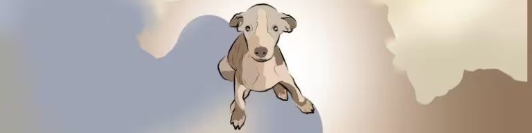 La camada Whippet más familiar: conoce a Phoenix, Owen, Lysander, Zephir, Xylon y Abril