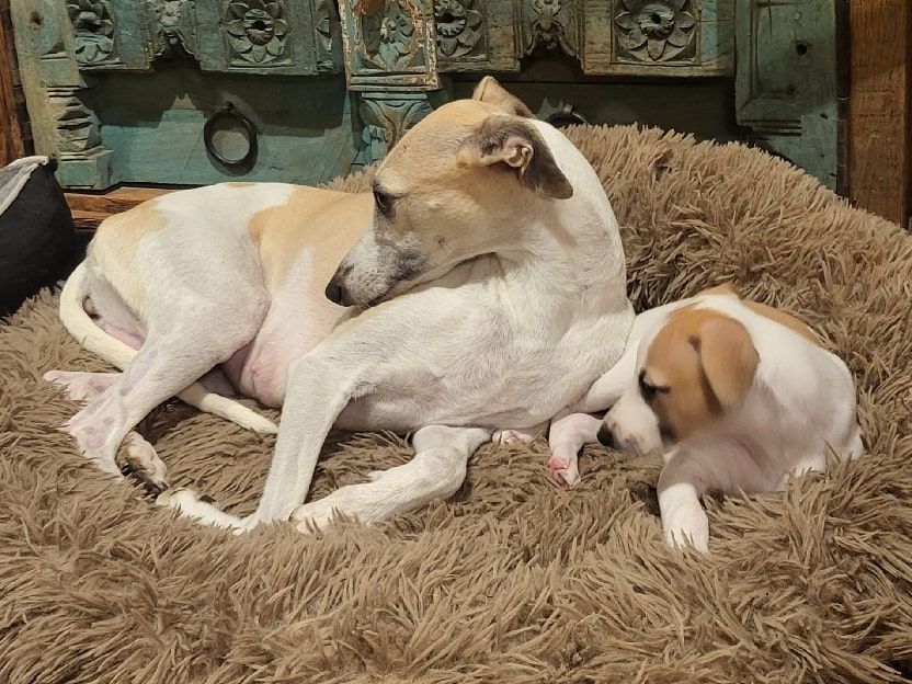 Madre e hija