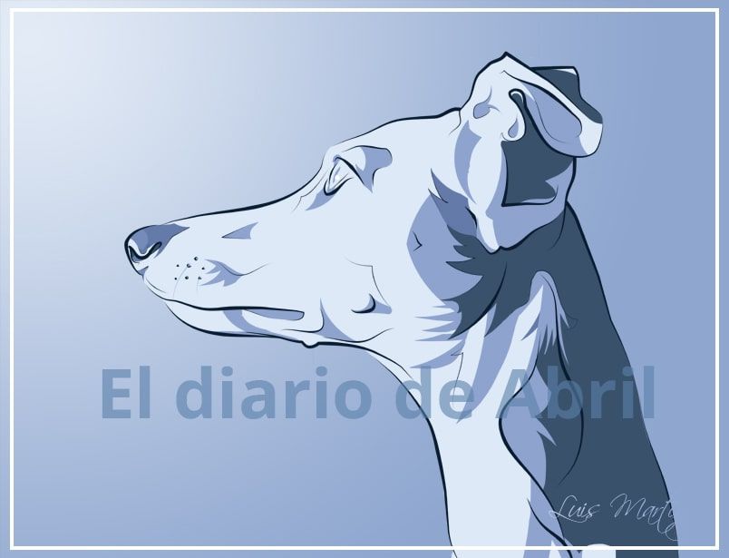 Recibir a un Whippet