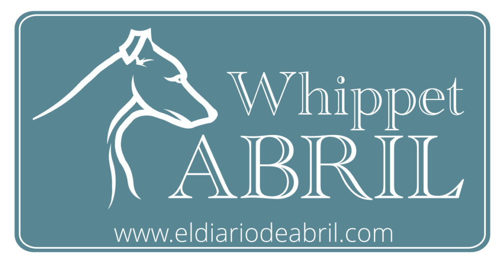Tarjeta de presentación web