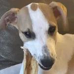 Abril mordiendo su snack