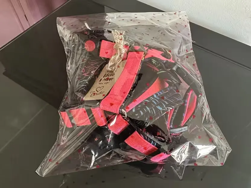 Arnés en su bolsa
