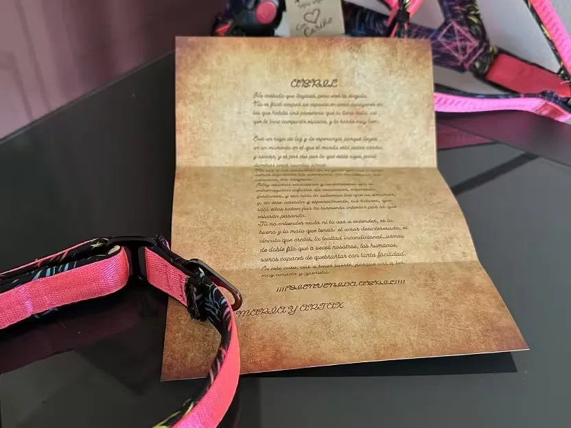 Carta de regalo
