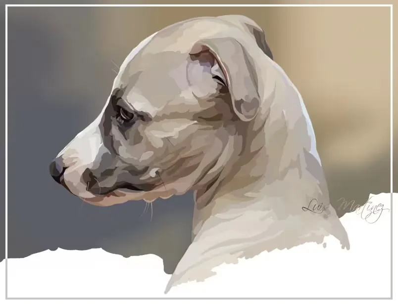 Dibujo de Whippet cachorro