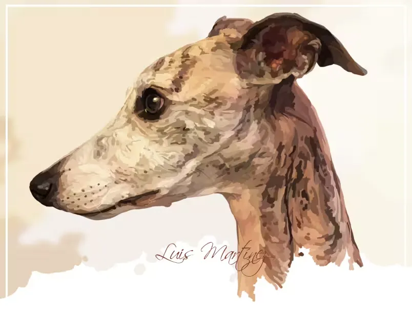 Musa, hermana de Gala