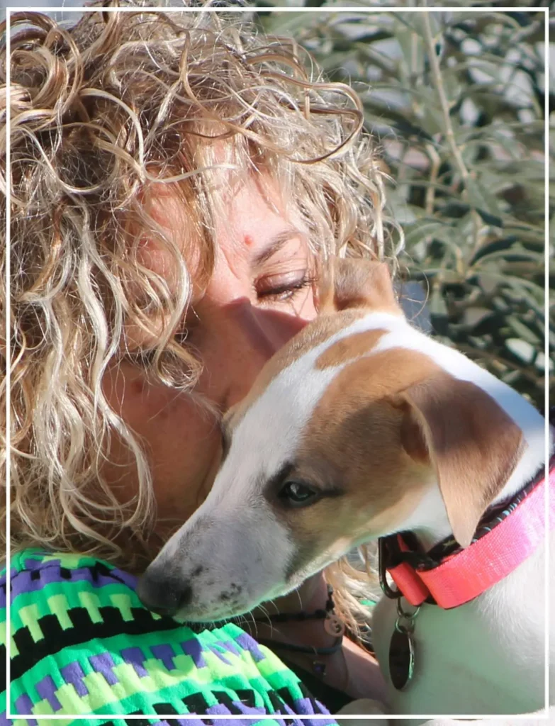 El beso sonoro al Whippet