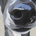 Trufa de Whippet