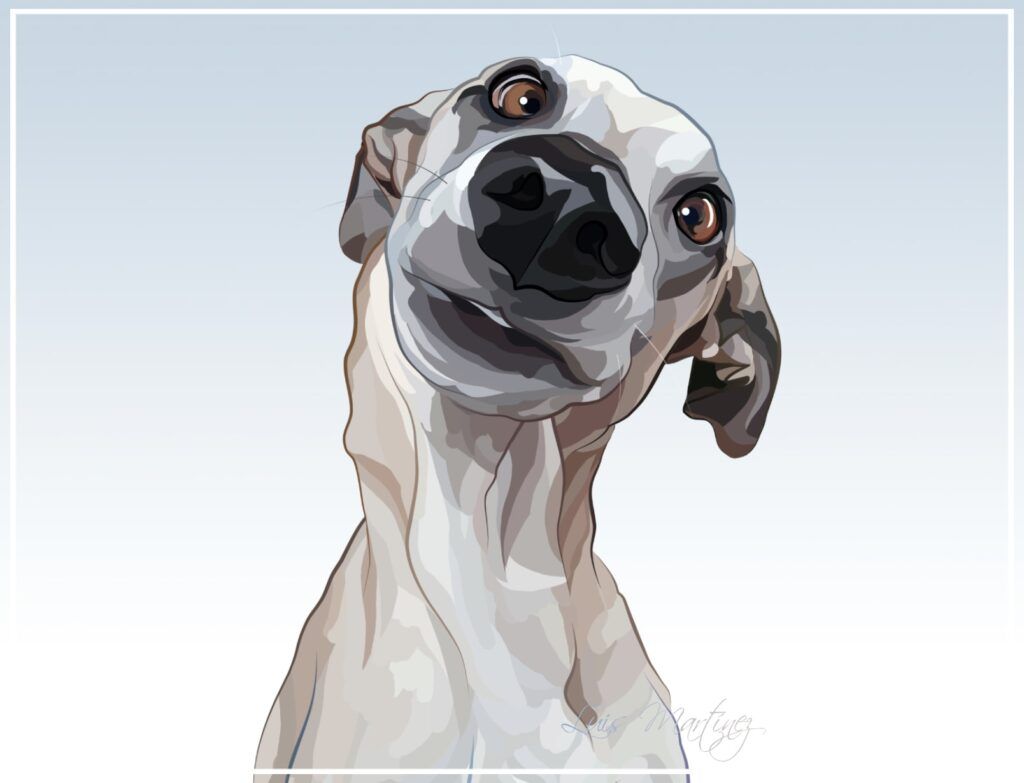 Whippet oliendo