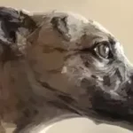Dibujo de musa