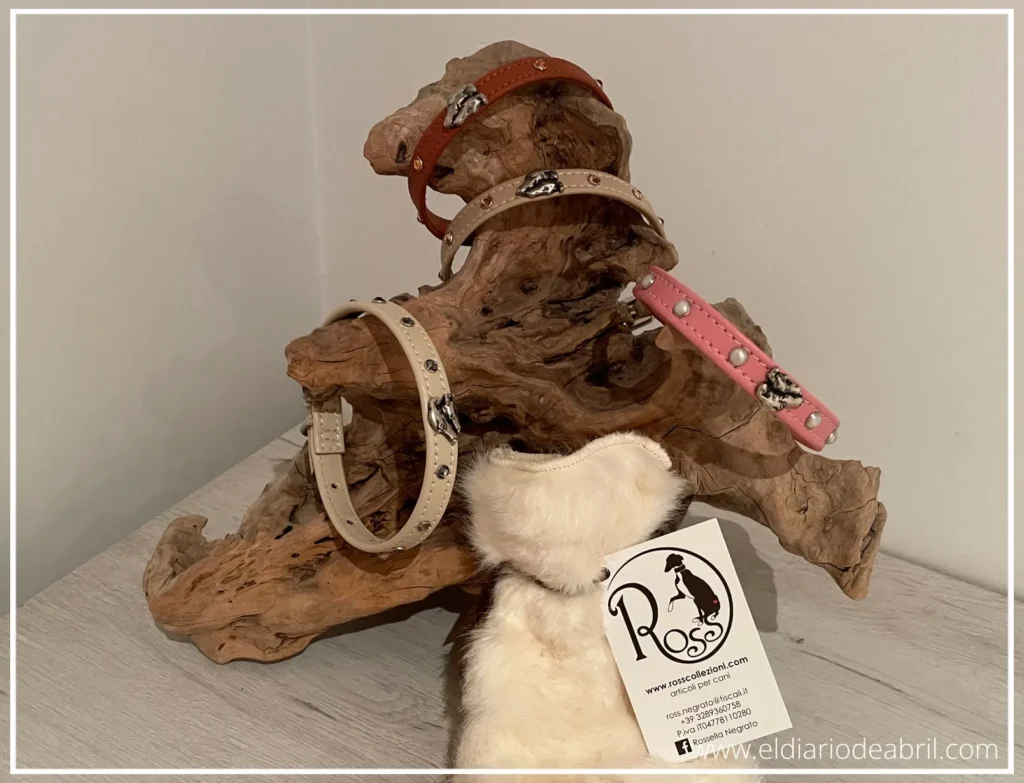 Exposición de regalos