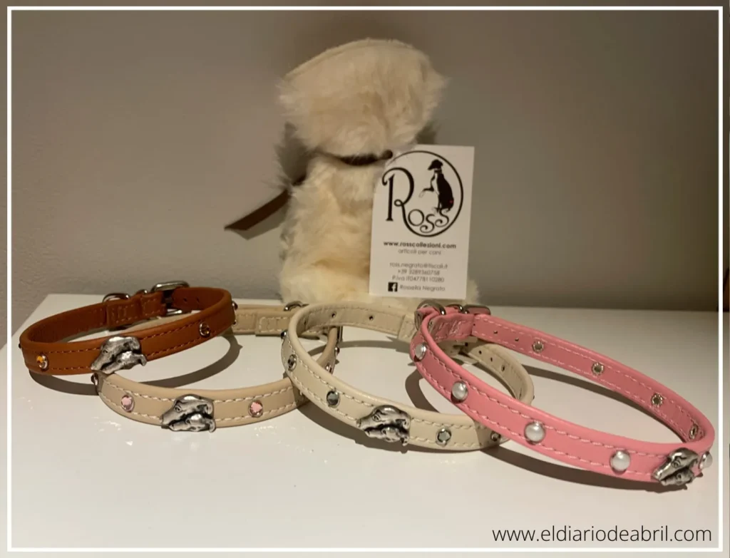 Collares para Lebrel