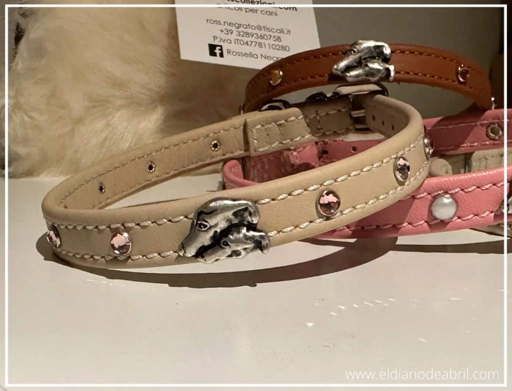 Collares para Whippet