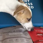 Abril oliendo su regalo