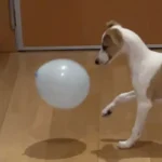 Abril y los juegos interminables con los globos