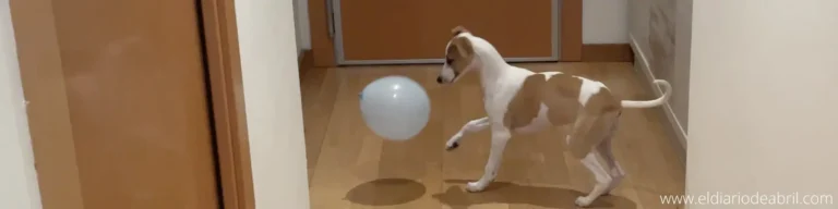 Abril y los juegos interminables con los globos