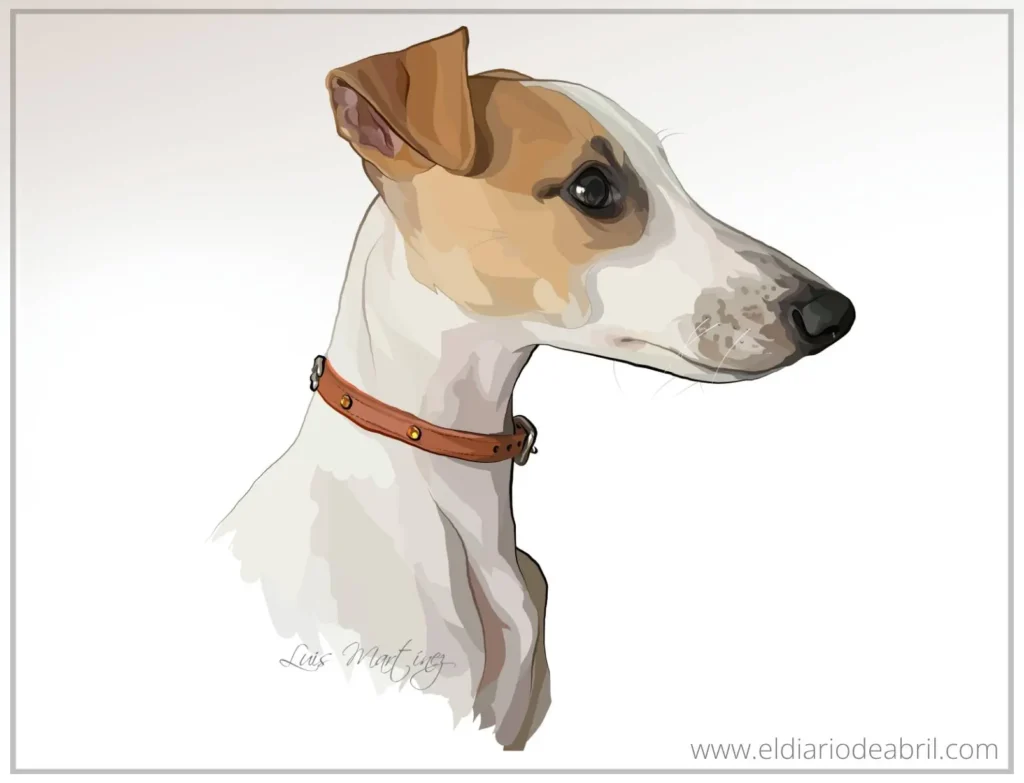 Dibujos de Whippets a color