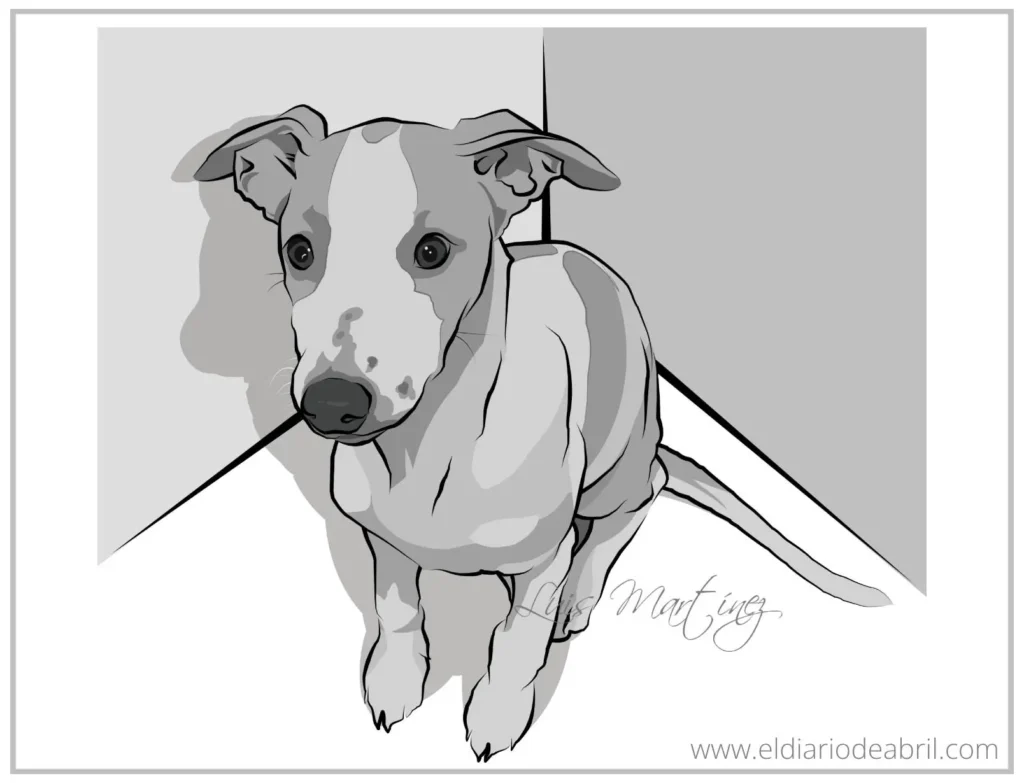 Dibujos de Whippets en blanco y negro