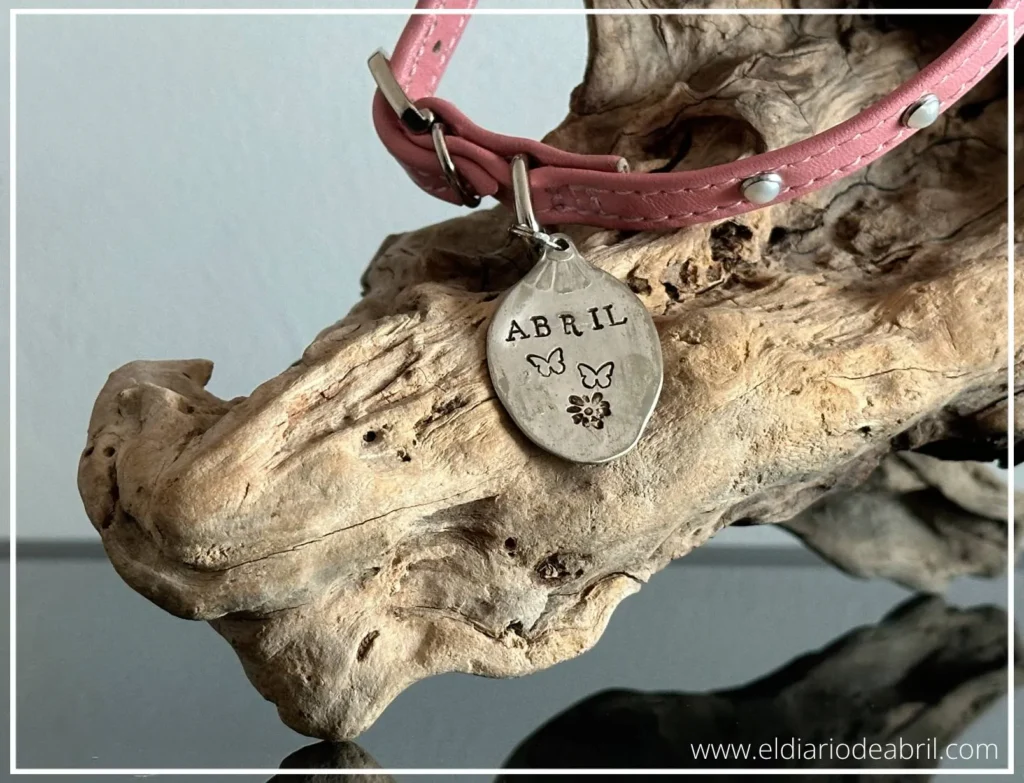 Detalle expositor de placas identificativas para collares de perros