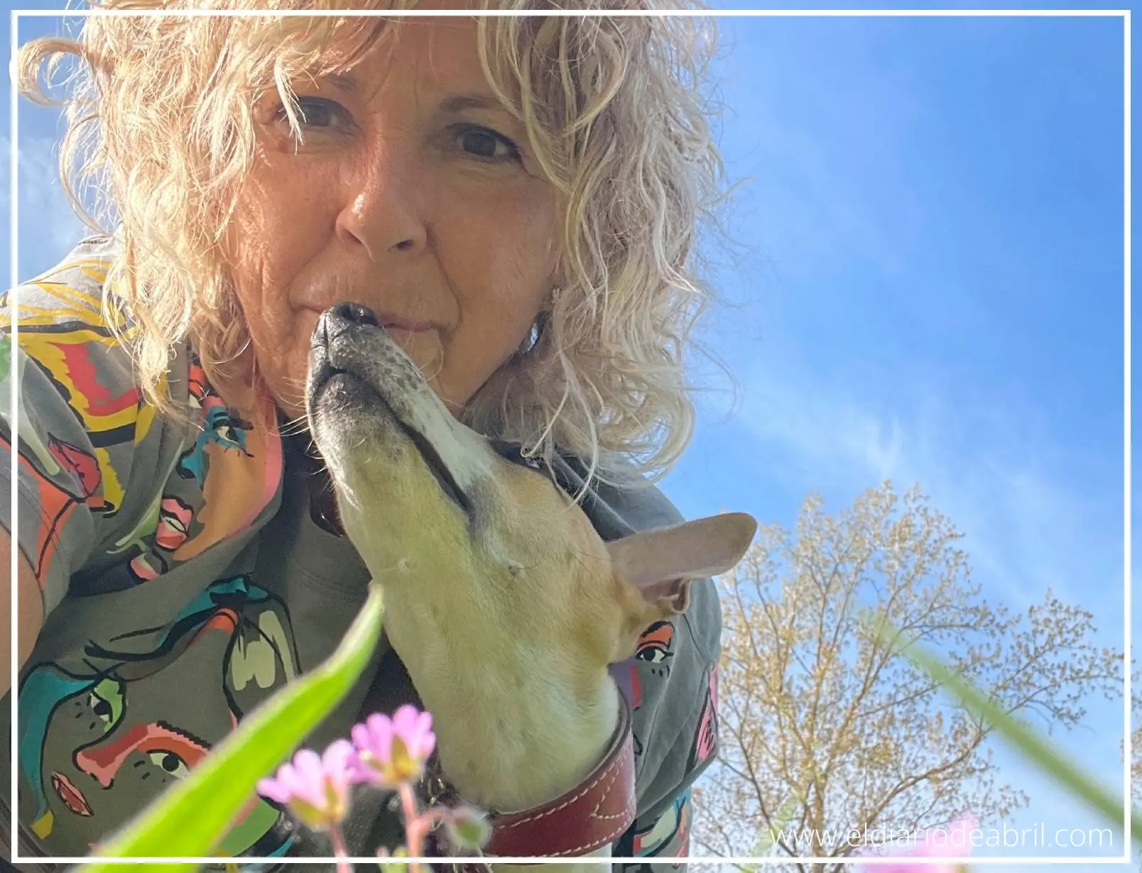 La complicidad del whippet y su dueña
