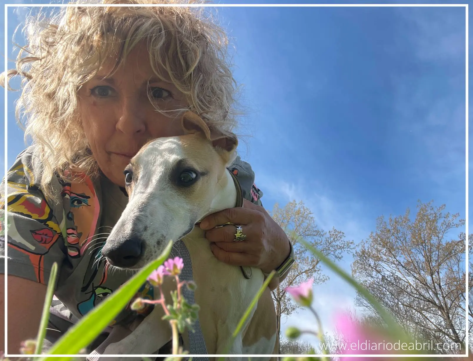 La mami de la Whippet Abril en el campo