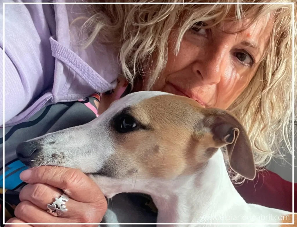 Dos amigas Whippet y mami