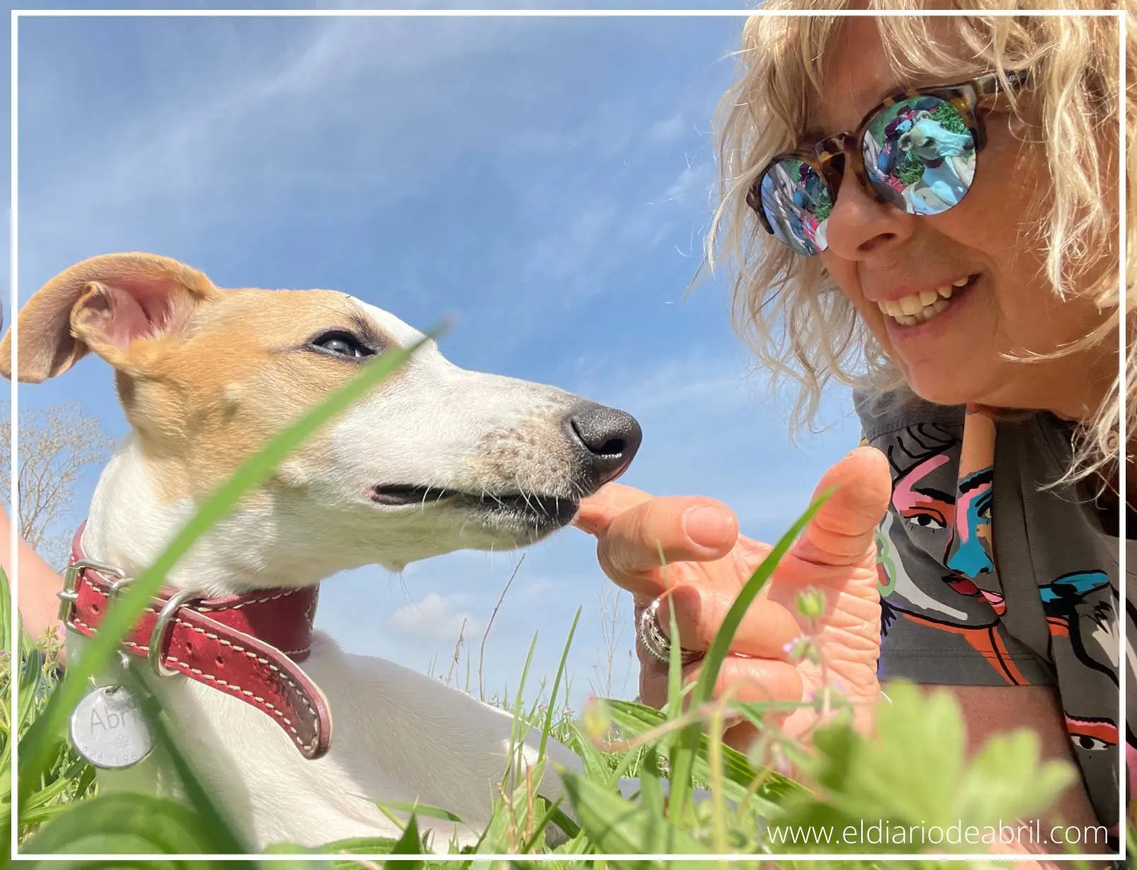 Tiempo de sol con una Whippet