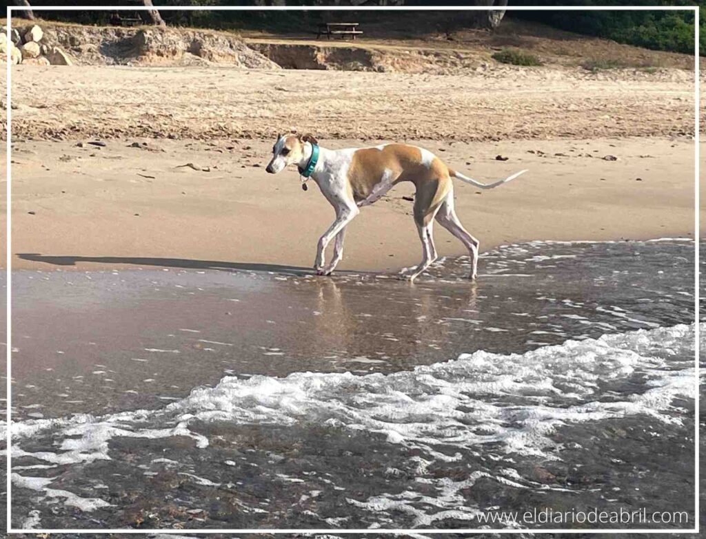 Dejemos que Abril coja confianza con el mar y luego todo será más fácil