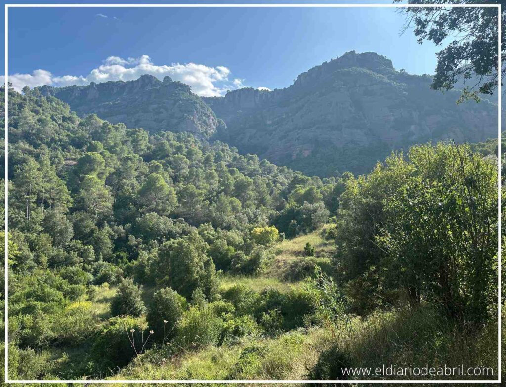 Paisaje característico del Marquet de les Roques con riscos rojizos y pinares, en el corazón del Parque Natural.