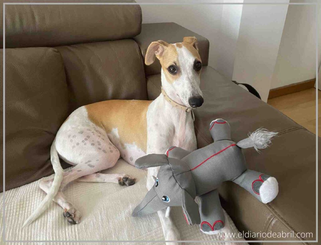 Abril en un juego de tira y afloja con su elefante de Kong.