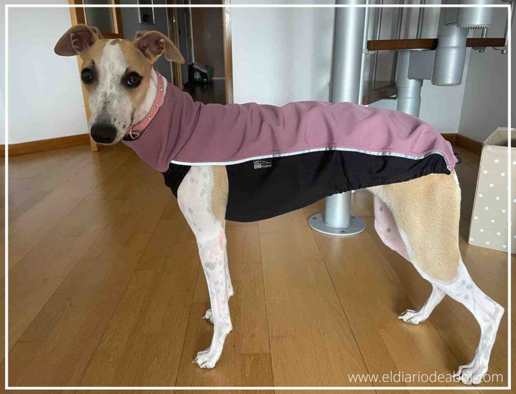 Abril de 11 meses descansando cómodamente en el sofá con su calentito DG Outdoor Fleece Top Short color Plum, ideal para el interior.