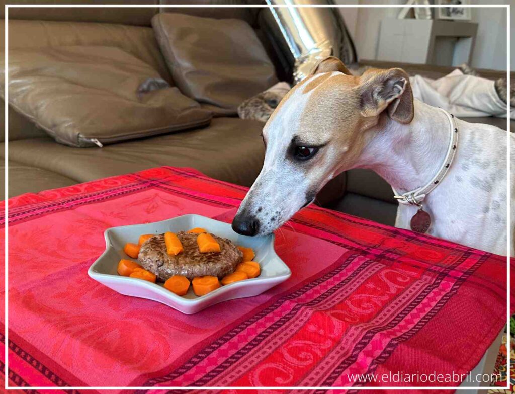 Detalle del menú especial de cumpleaños: hamburguesa de ternera con verduras para el Whippet.