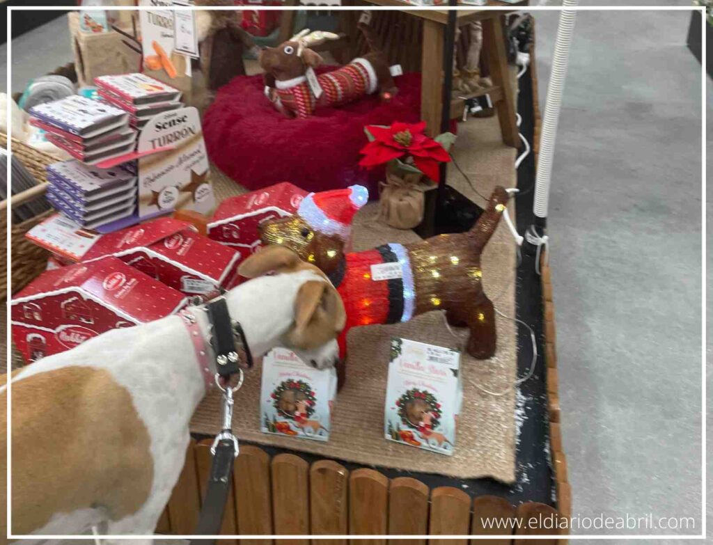 Imagen de Abril explorando los adornos de Navidad en un mueble o mesa de la sala.