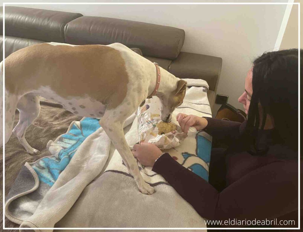 Abril recibe su nuevo juguete de Navidad, un cachorro de león de peluche, mostrando gran alegría y felicidad.