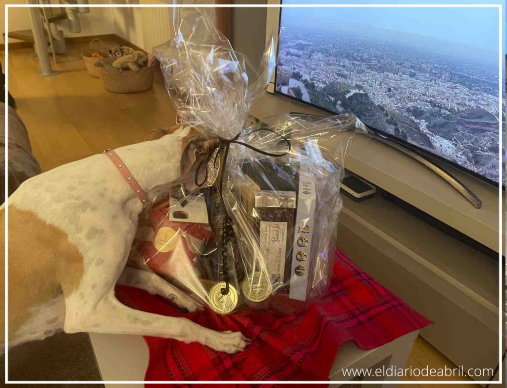 Imagen navideña de una mascota (whippet) cerca de la cesta de productos gourmet no aptos para ella.