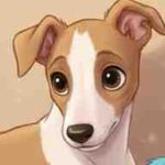 Ilustración de cabecera con el cachorro de Whippet Abril sobre un fondo cálido y minimalista.