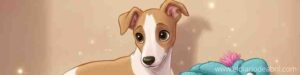 La ciencia de hablarle a nuestras mascotas: ¿Por qué funciona el tono agudo?